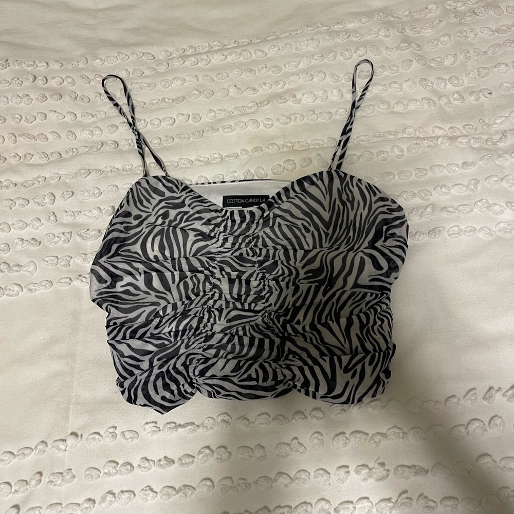 zebra going out top